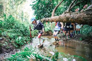 BIB: 
                            <button type="button" onclick="openModal(25514812)" class="btn btn-primary btn-sm float-right btn-popup" data-toggle="modal" data-target=".modal-high-quality">
                        <i class="fas fa-shopping-cart"></i> Add to Cart
                    </button>
                                            <button type="button" onclick="isThisMe(25514812, true)" class="btn btn-success btn-sm float-right btn-popup btn-isme hidden" data-toggle="tooltip" data-placement="bottom" title="นี่คือรูปของคุณใช่ไหม คลิกที่นี่เพื่อเอาเข้าอัลบั้ม">
                        <i class="fas fa-plus"></i> Add to album
                    </button>
                    <button type="button" onclick="isThisMe(25514812, false)" class="btn btn-warning btn-sm float-right btn-popup btn-isnotme hidden">
                        <i class="fas fa-ban"></i> Remove from album
                    </button>